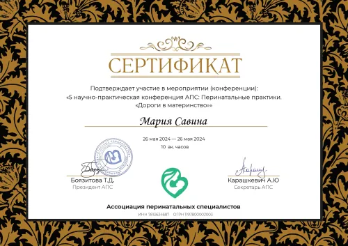 Сертификат участника конференции 2024